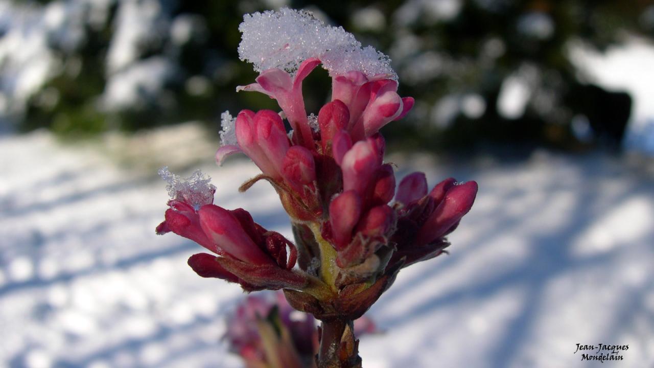  Chaud et  froid 