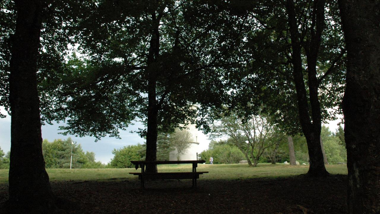 Nombreuses tables de pique-niques ombragées