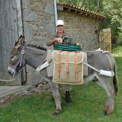 Compagnon de randonnée.