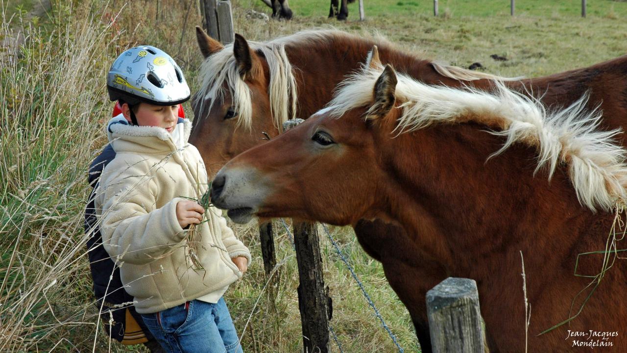 Enfants aux chevaux 