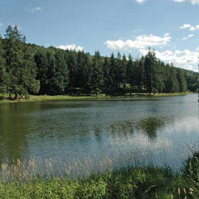 Le lac de la Gimond avre de paix