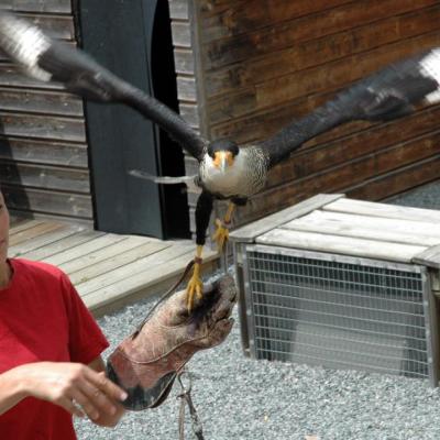 Parc animalier de Courzieu